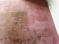 Sure Chem Carpet Cleaning 352166 Image 4